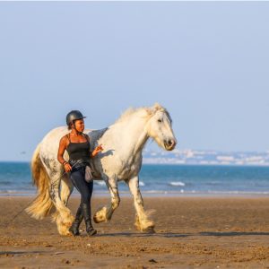 Stage Ado Immersion Scolarité
